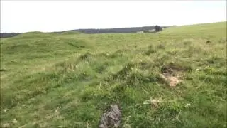 Priddy Barrows Visit, PART C, 'Ashen Hill 8 Barrows' by Sheila, Sept 11th 2015