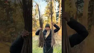 Where do I get willow for basketry?