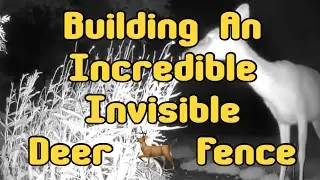 The Incredible Invisible Deer Fence