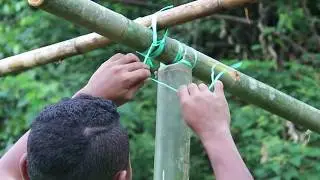 Persediaan untuk Hari Biodiversity Sedunia di Kolosunan