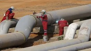 OPEC, non-OPEC oil output cuts positive