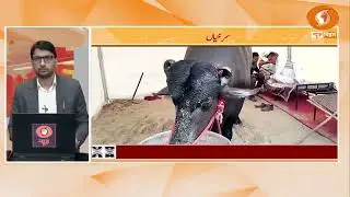 🔴LIVE- सुर्खियां 4 बजे की || URDU || DD NEWS BIHAR || DATE- 29.01.2026