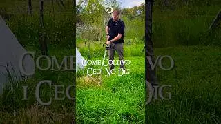 Semina ceci senza lavorare la terra &ndash; ecco come