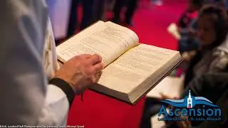 Psalm Reflection August 18, 2023
