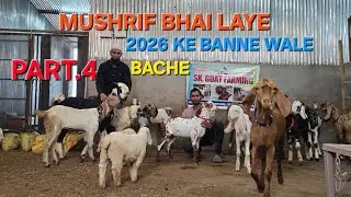 SK.GOAT.FARM PART.4 KE SATHE LAYE NAYA OFFER MUSHRIF BHAI LUTANE A GAYE 