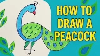 How to Draw a Beautiful Peacock from the Number 6 Step by Step Tutorial