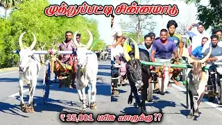 3முத்துப்பட்டி-சின்னமாடு-பந்தயம்_06.08.2025_V_Photography