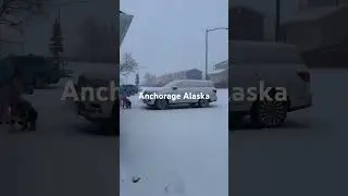 Snow Day at Anchorage Alaska