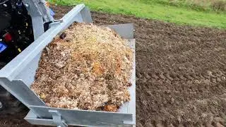 Een moestuin op de kippenmest? Poging 1 tot knoflook verbouwen!