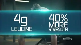 The Science Behind:  Amino Build Next Gen