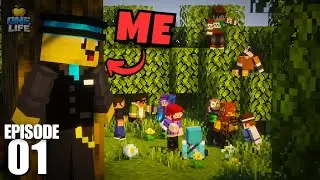 I Joined a SMALL YOUTUBER Life Series and Here's What Happened