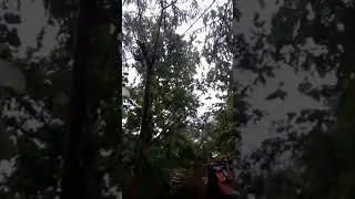 This is the small impact of Cyclone Yaash in Odisha.