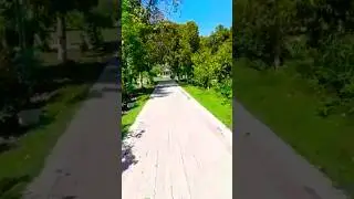 vehari Beatiful zoo #shorts #youtubeshorts #viral #video #vehari