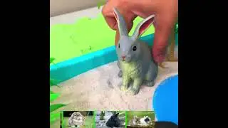 Rabbit Speed Fact! 🐇 Can Run Up to 25 MPH! Farm Animals