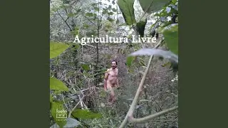 Alohanet