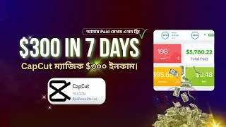 একটি ওয়েবসাইট বানিয়ে ৭ দিনে $৩০০ ইনকাম | How to earn money using Website