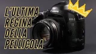 Canon EOS 1V: L'ultima regina della pellicola