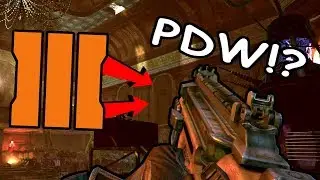 GUYS THE PDW IS COMING TO BO3!!!!!!!!!!!!!!!!!!!!!!!!