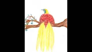 Nishwath Art work Unique birds species