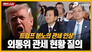 트럼프 관세 인상이 국힘 탓?[외통위 전체회의]
