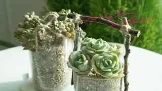 Making a succulent plant basket resembling a rose #Plastic bottle #Recycling