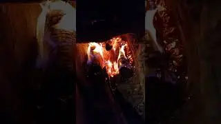 Выпечка зеленого кофе