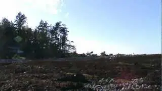 View of Hornby nesting area, eaglet, Hidden Bay, and Grassy point.