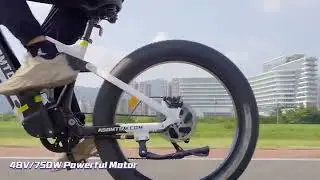 SR6