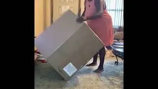 VLOG | UNBOXING AND ASSEMBLING PAPASAN CHAIR