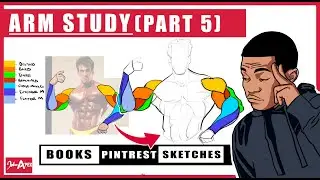 Arm anatomy study! reference breakdown + personal notes PART 5
