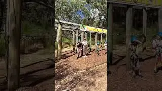 Trees adventure treetop zip lining at yanchep national park.