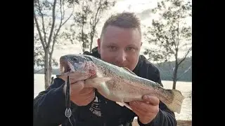 Harvey Dam Winter Trout! On Hard Body Lures