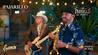 Pajarillo - La Pandilla Del Rio Bravo | En Vivo