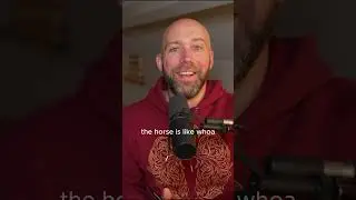 The Skittish Horse: A New Way to Build Somatic Awareness