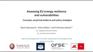 Dario Guarascio & Francesco Zezza - Assessing EU energy resilience and vulnerabilities