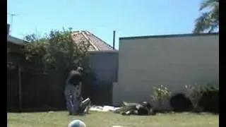 Backyard Wrestling Injury: Cracked Face!