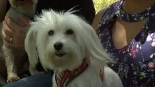 Lai Ubberud Psychic and Pet Psychic