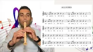 Allegro - flauto dolce