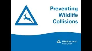 Preventing Wildlife Collisions