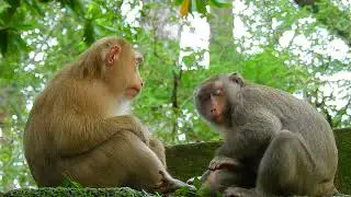 Sooner Rose's meet baby Rainbow very soon coz NGO brink to meet her own baby soon