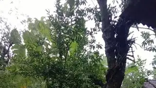 🔴 Live suasana hujan di perkampungan bikin syahdu dingin di Gunungkidul #gunungkidul #omdedi 