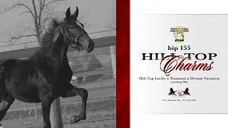 Hill Top Charms (Hill Top Lucky x Tsunami) Lot 155