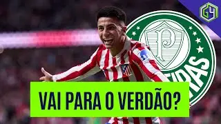 ALMADA VAI PARA O PALMEIRAS? LEONARDO SUZUKI ANALISA A POSSIBILIDADE | PALMEIRAS