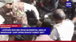 Madhya Pradesh: Leopard Rescued from Residential Area in Mandsaur | Forest Dept | IMN India #news