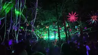 TRiBE of FRoG stage at Boomtown Fair 2024