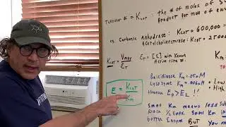 Enzyme Efficiency | Biology | DAT OAT Exam | DAT Destroyer