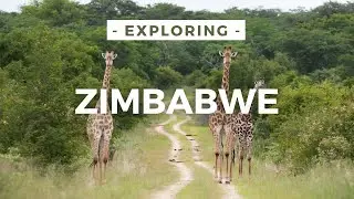 Travel2Zimbabwe