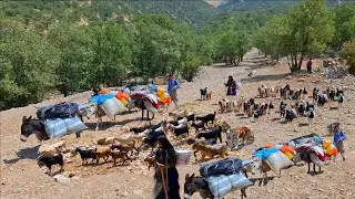 Эпическое кочевое путешествие 🐑 | Тяжёлая, но прекрасная жизнь в диких горах ⛰️