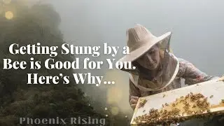 Learning, Living & Thriving as a Bee Keeper