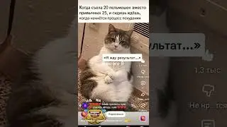 Диетолога вызывали? #цитатыпрожизнь #jasonstatham #сильныесловасосмыслом #отношения #ролевыеигры#